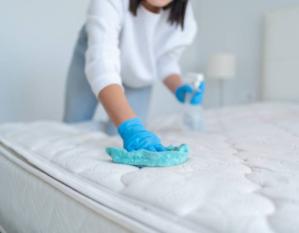 Deep cleaning Westfield IN living room